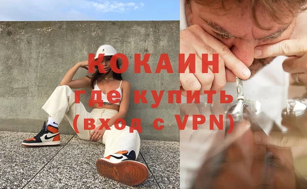 крисы Богданович