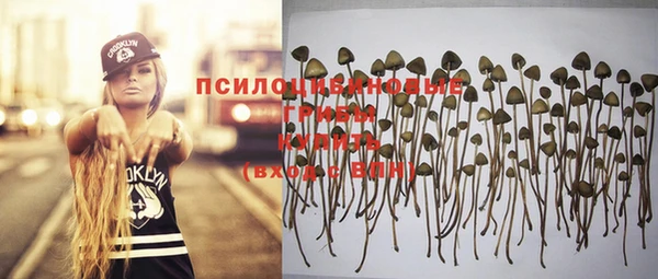 крисы Богданович