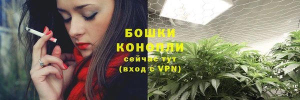 шишки Белоозёрский
