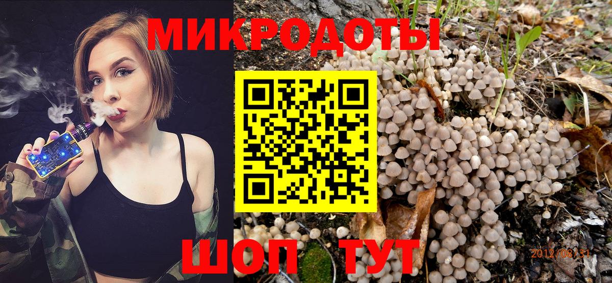 Галлюциногенные грибы Cubensis Тверь